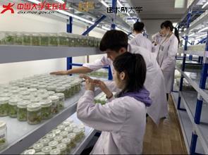 佳木斯大學科技園   為科技轉化插上騰飛的翅膀 - 佳木斯大學 - 中國大學生在線