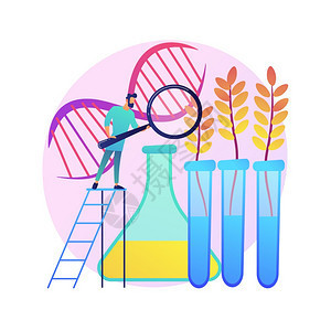 轉基因食品抽象概念矢量說明轉基因有機體食品工業生物技術產品保健問題營養安全疾病風險抽象比喻轉基因食品抽象概念矢量說明