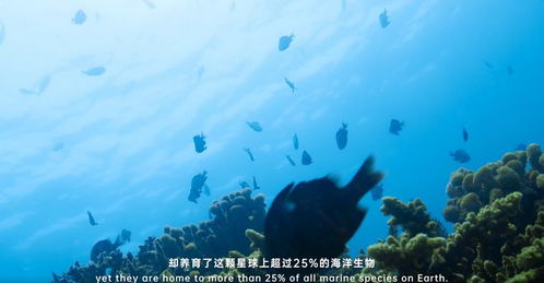 海南島有多神奇,用不同視角帶你重新認識這片島嶼