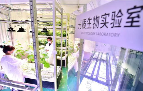 新華社 科技助力智慧農業